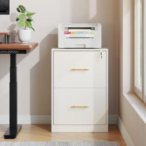 White 2-Drawer Locking File Cabinet with Printer Stand for Home Office