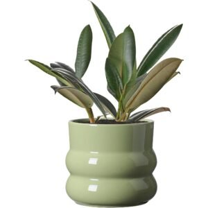 6 Inch Green Ceramic Plant Pot with Drainage Hole for Indoor Plants