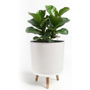 12 Inch White Self-Watering Plant Pot with Water Level Indicator and Wooden Stand
